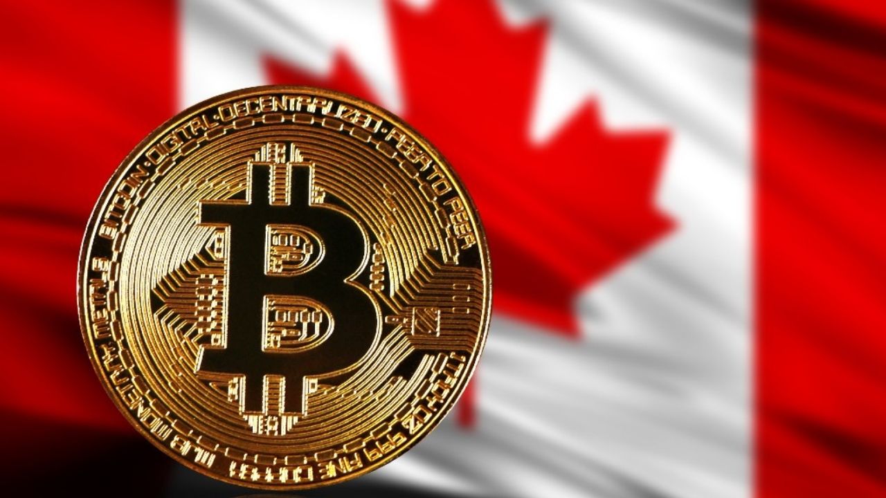 Bitget vs. Where to Purchase BTC in Canada